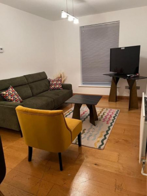 Luxurious 2 bedroom Flat Britannia Village London
